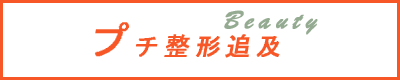 ようこそプチ整形追求へ